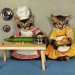 chat cuisinier