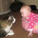 chat et bébé