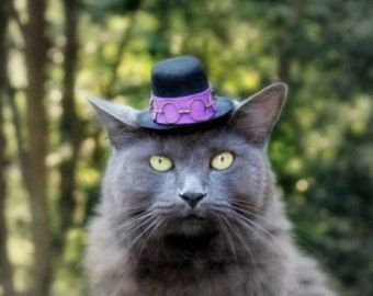 Chapeau pour chat