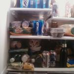 chat dans le frigo