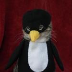 chat pingouin